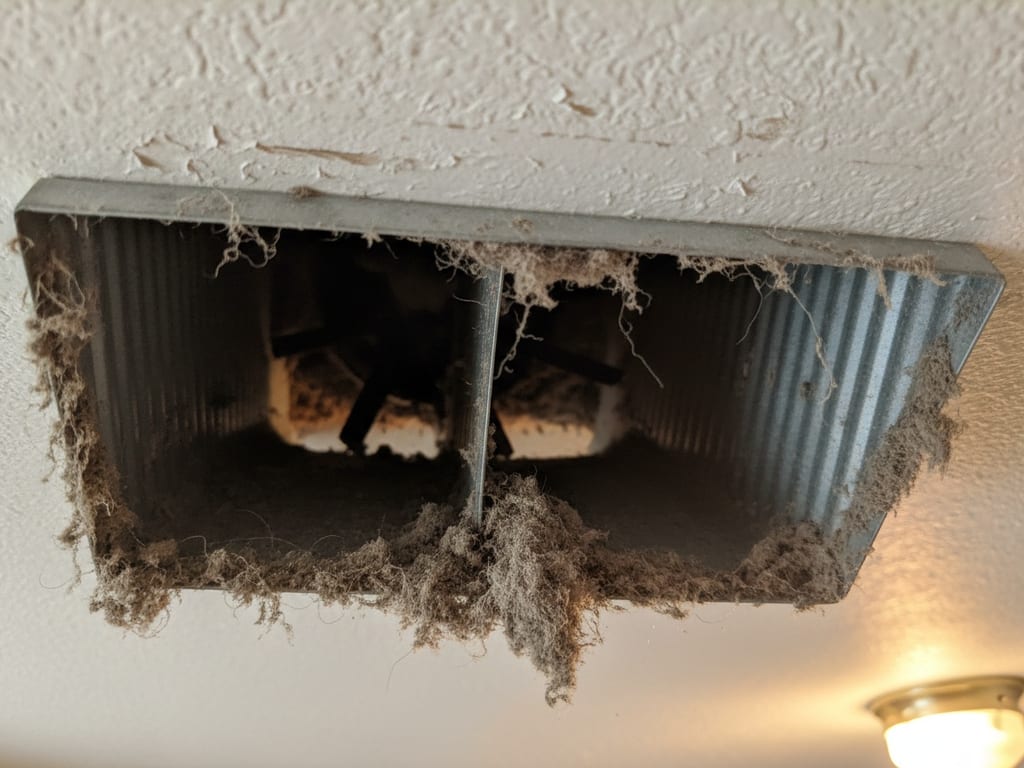 Mold in Air Ducts: Signs, Risks, and Solutions for Sanford Homeowners, in-article photo